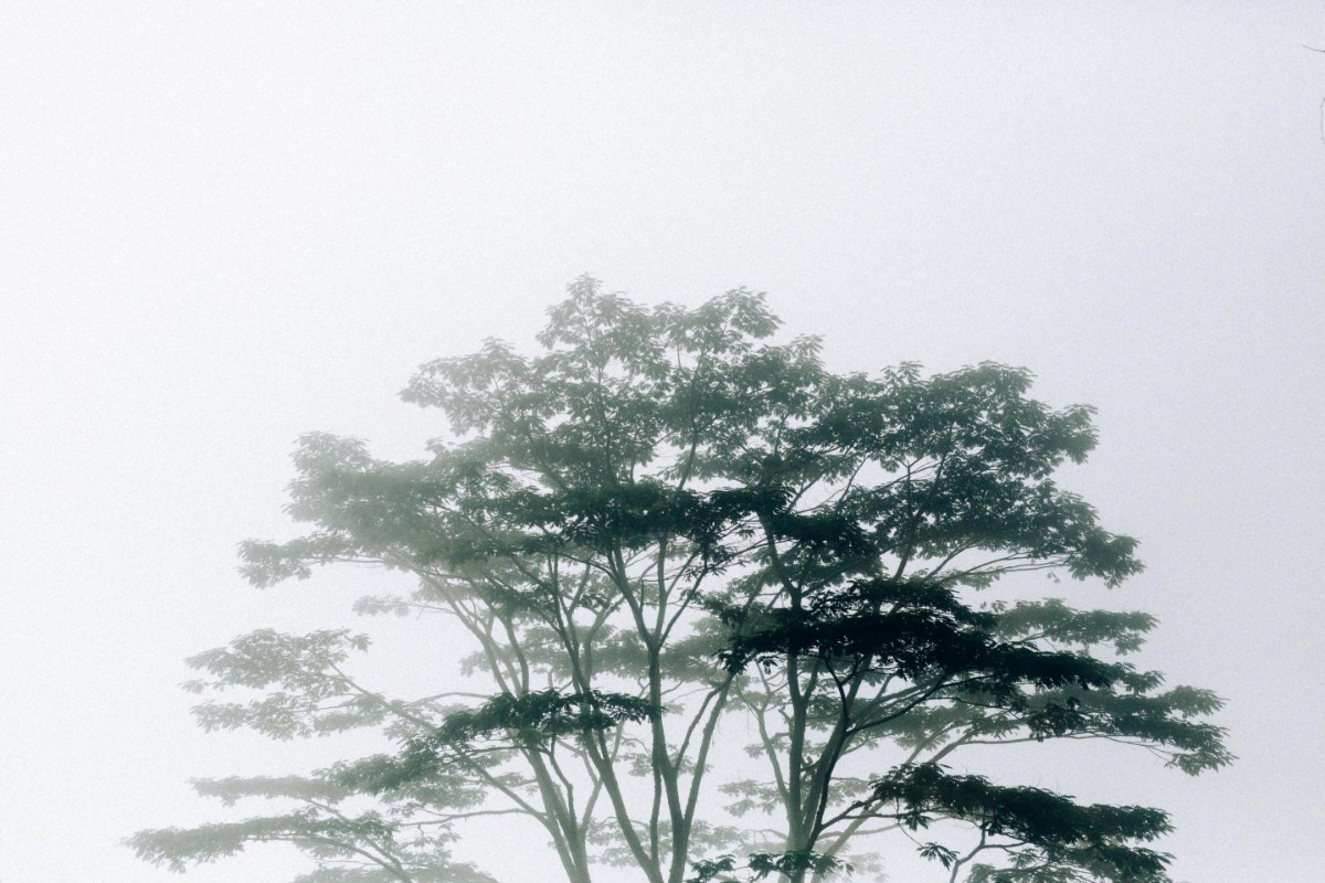 Image de Timor-Leste