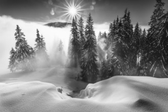 Slika A Winter Tale !