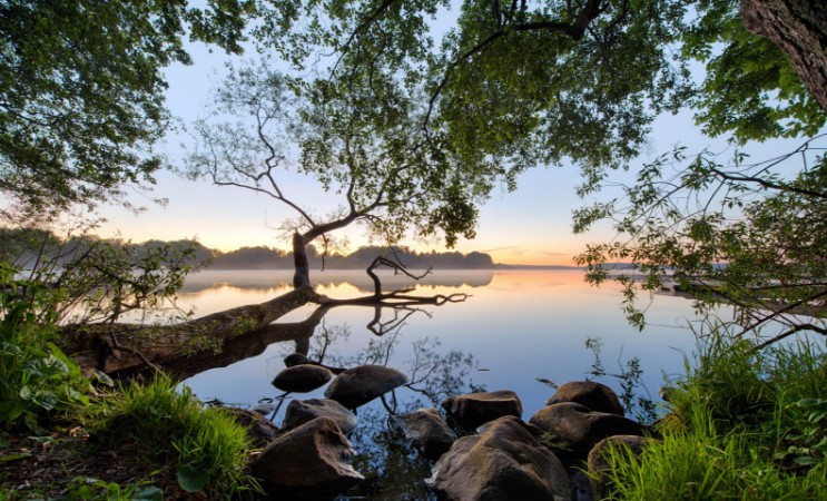 Lake view photowallpaper Scandiwall