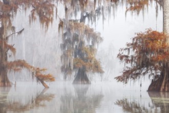 Picture of Mysty Bayou