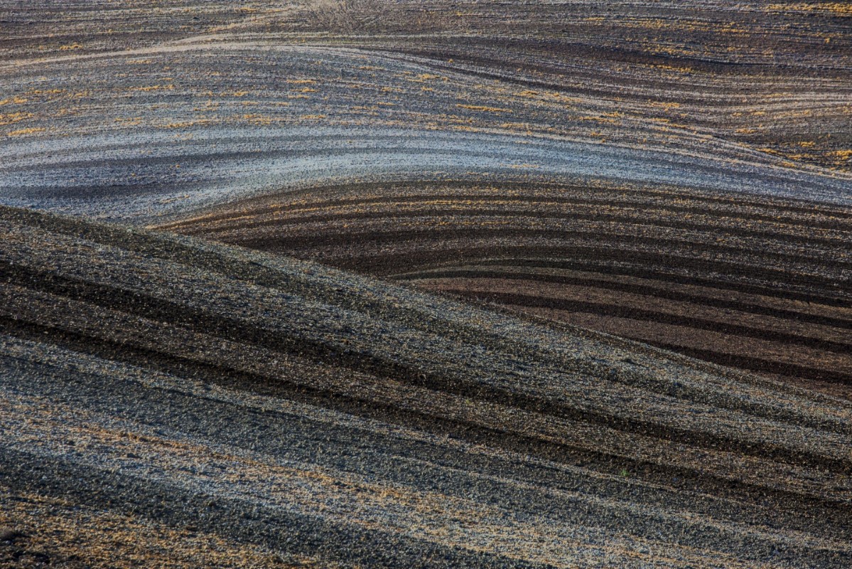 Picture of Lines in landscape