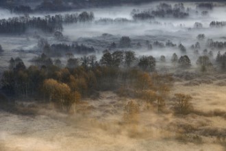 Immagine di Autumnal misty dawn