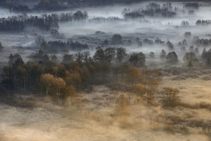 Picture of Autumnal misty dawn