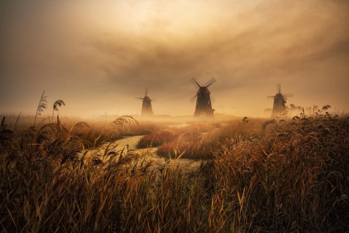 Picture of A fascinating morning