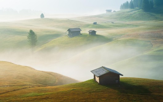 Image de Realm of Mist