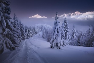 Picture of In the Winter