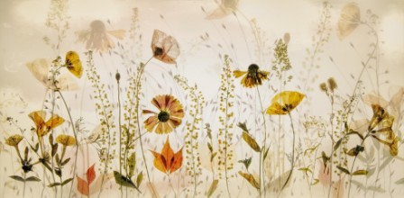 Bild von In the field