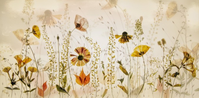 Image de In the field