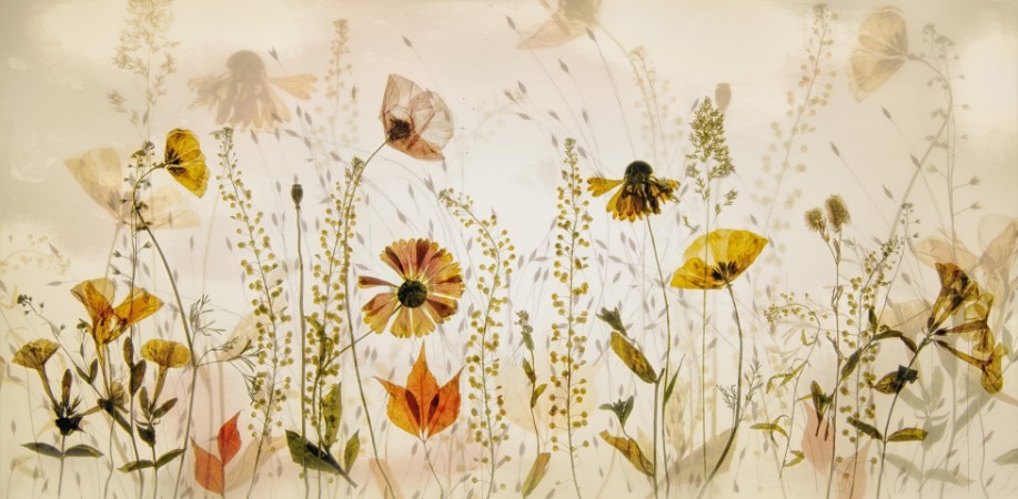 Picture of In the field