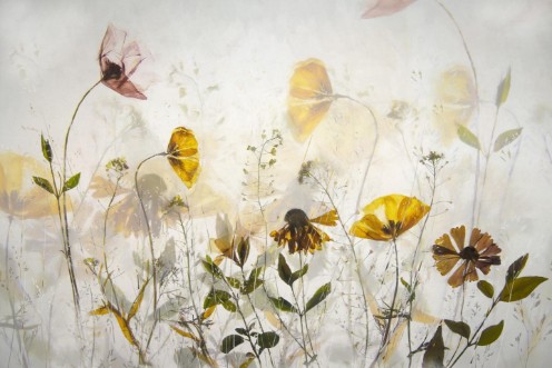 Bild på Flower party