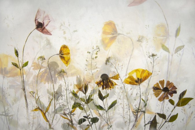 Image de Blomsterfest