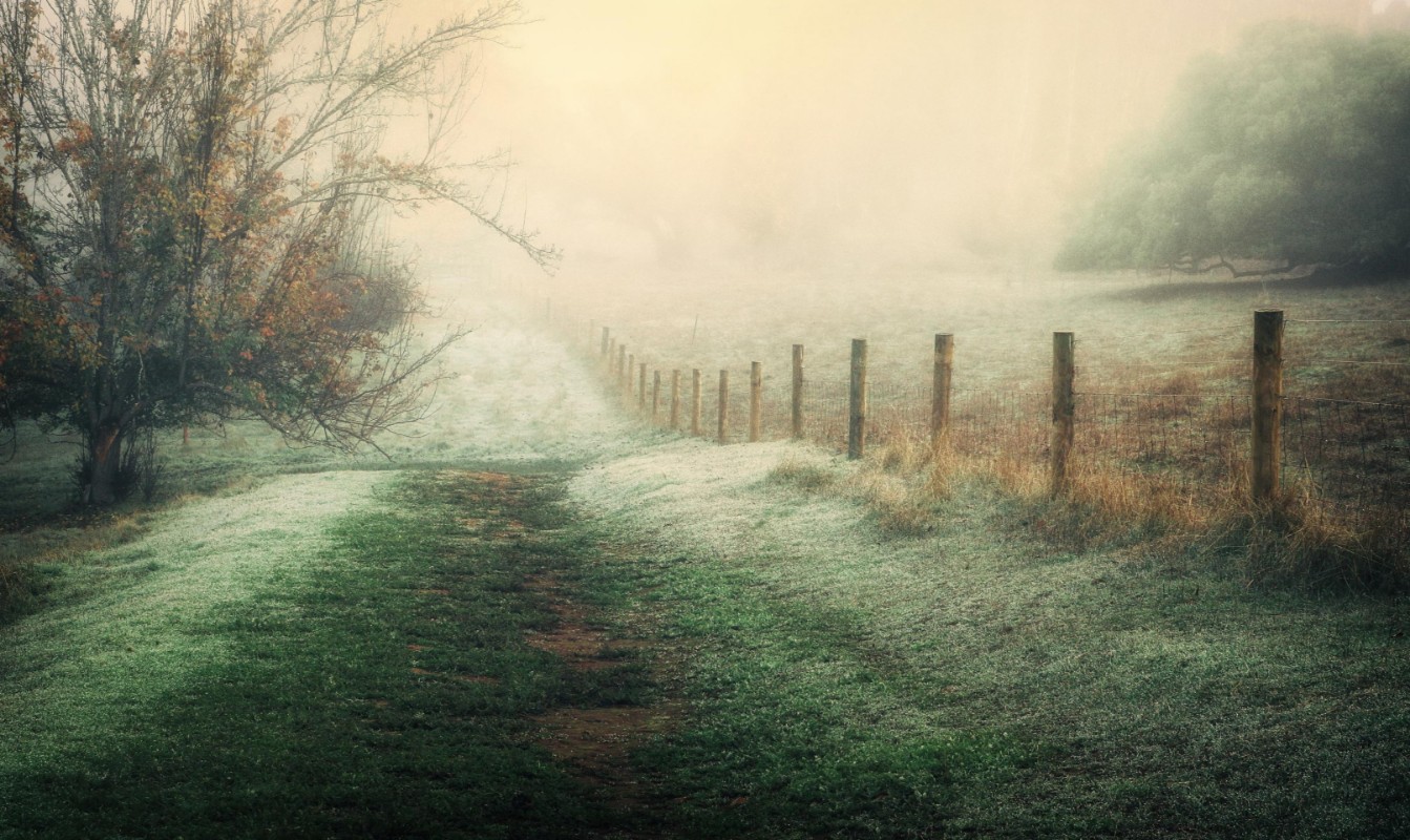 Picture of Fading away