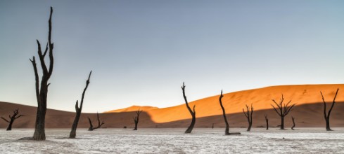 Bild von Namibian desert