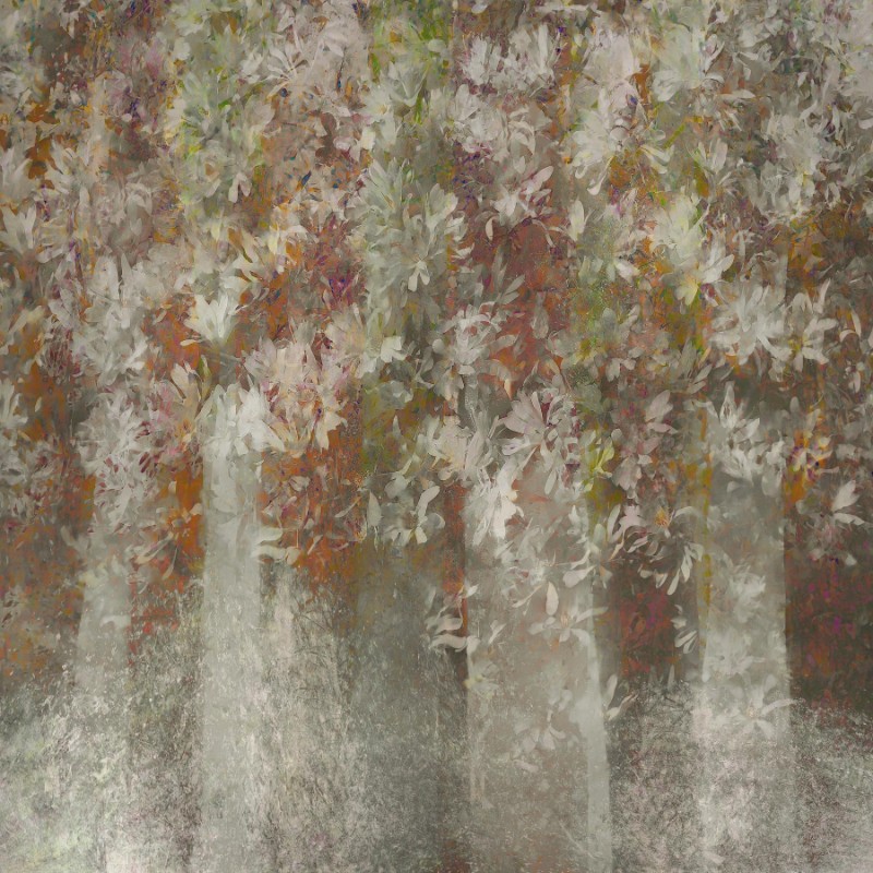 Afbeeldingen van Magnolia