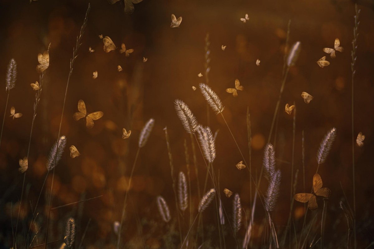 Afbeeldingen van Love is in the air