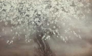 Image de Stars of spring