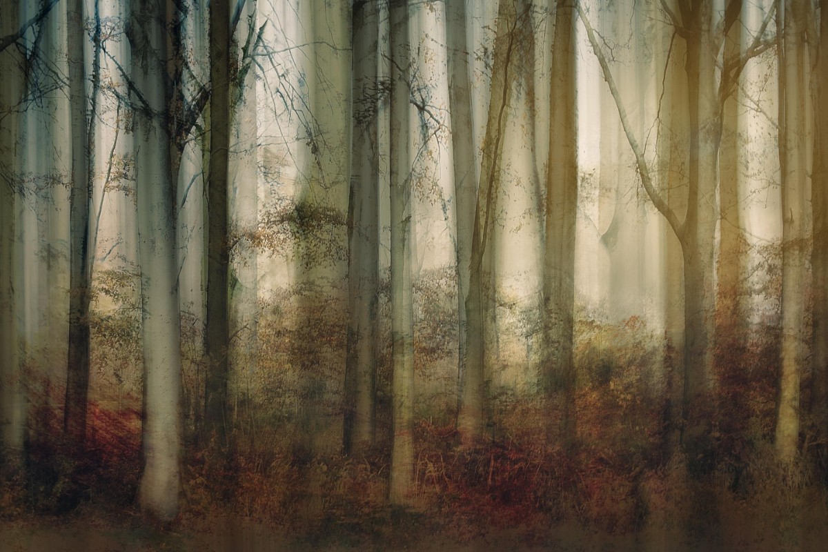 Picture of Autumn light