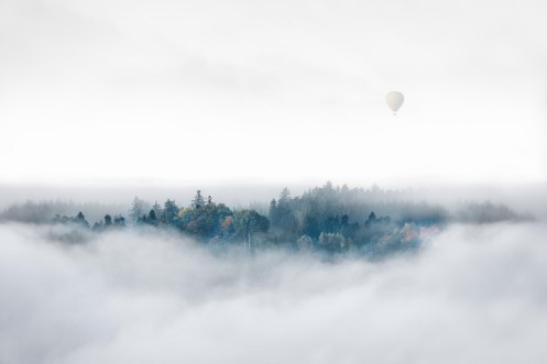 Image de Misty Morning Surprise