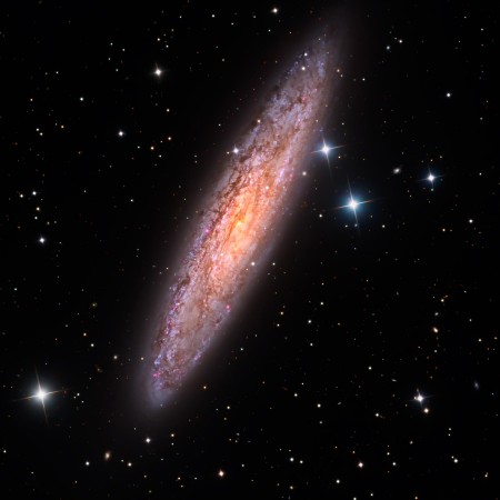 Ritratt ta’ Sculptor Galaxy