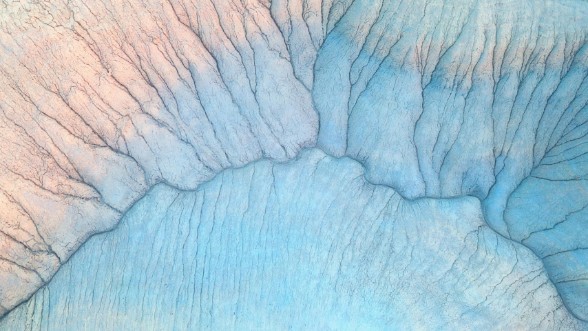 Afbeeldingen van Branches in Badlands