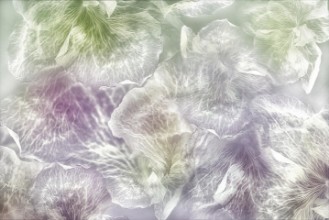 Снимка на Dancing flowers