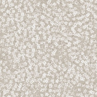 Picture of Ana Cisne - A00227N