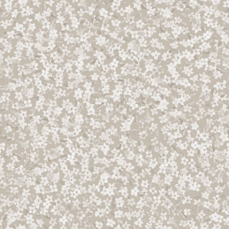 Picture of Ana Cisne - A00227N