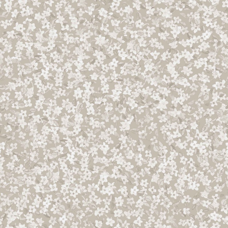 Picture of Ana Cisne - A00227N