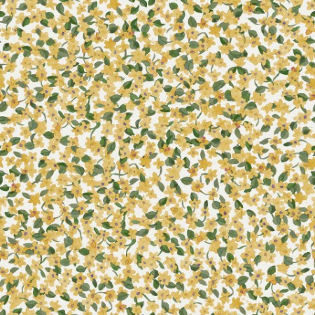 Picture of Ana Cúrcuma - A00228N