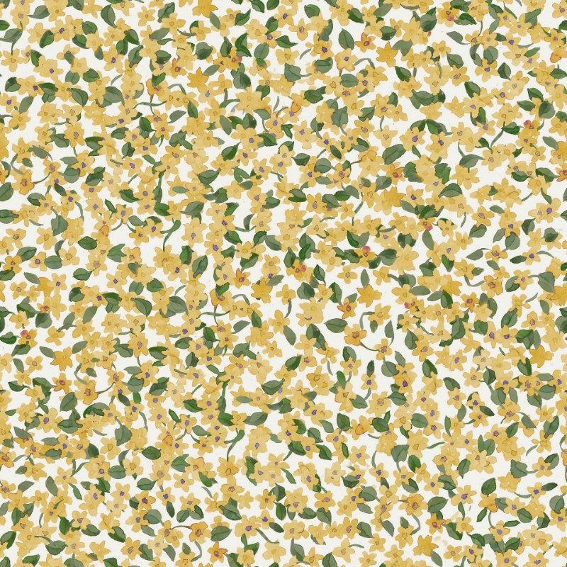 Picture of Ana Cúrcuma - A00228N