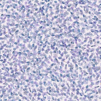 Picture of Ana Índigo - A00226N