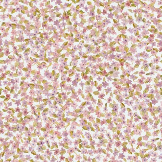 Picture of Ana Rosáceo - A00223N