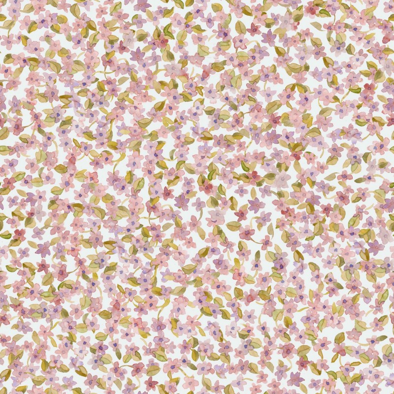 Picture of Ana Rosáceo - A00223N