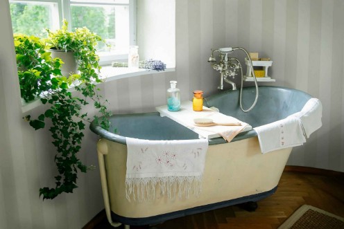 Bild på Antonio Cisne - A00252N