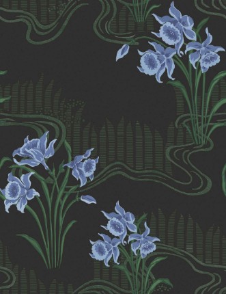 Picture of Candela Azabache - A00234N