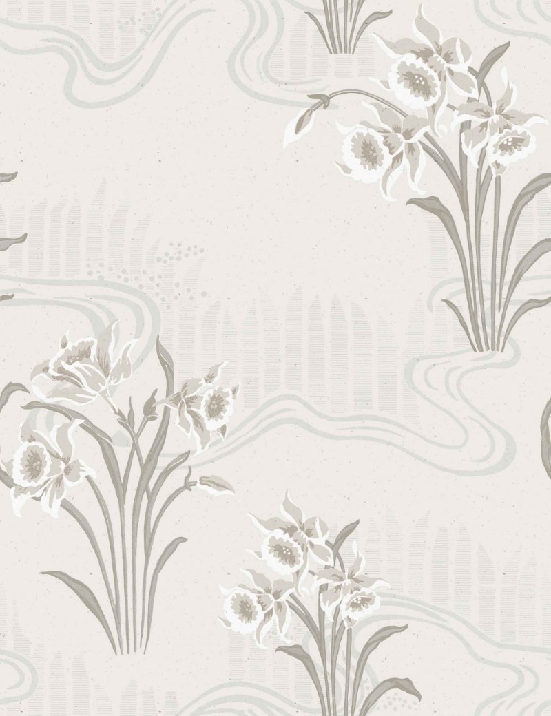 Bild på Candela Cisne - A00231N