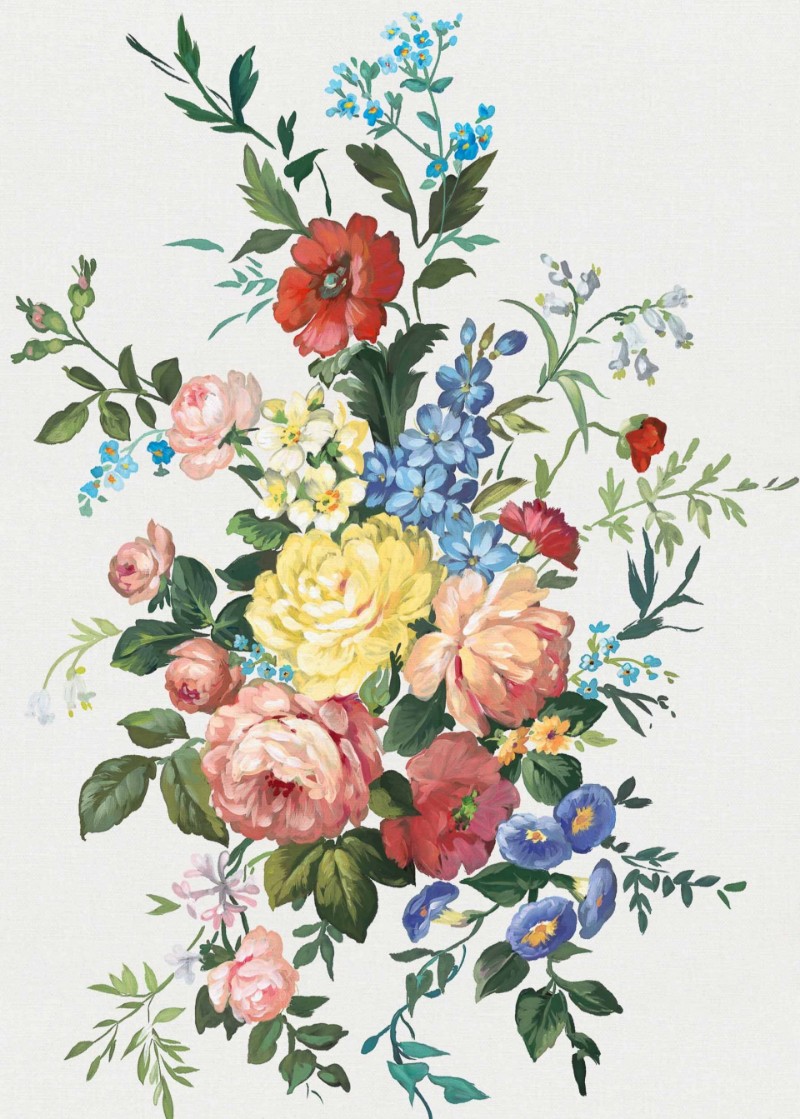 Picture of Carmen Cisne - A00220N