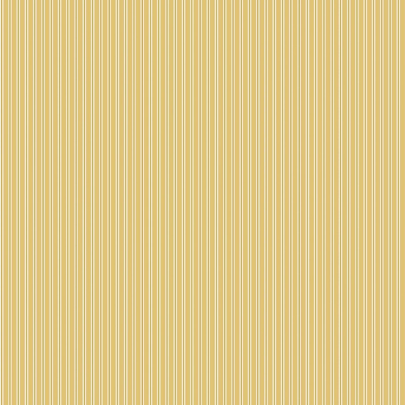 Picture of Fermín Vainilla - A00243N