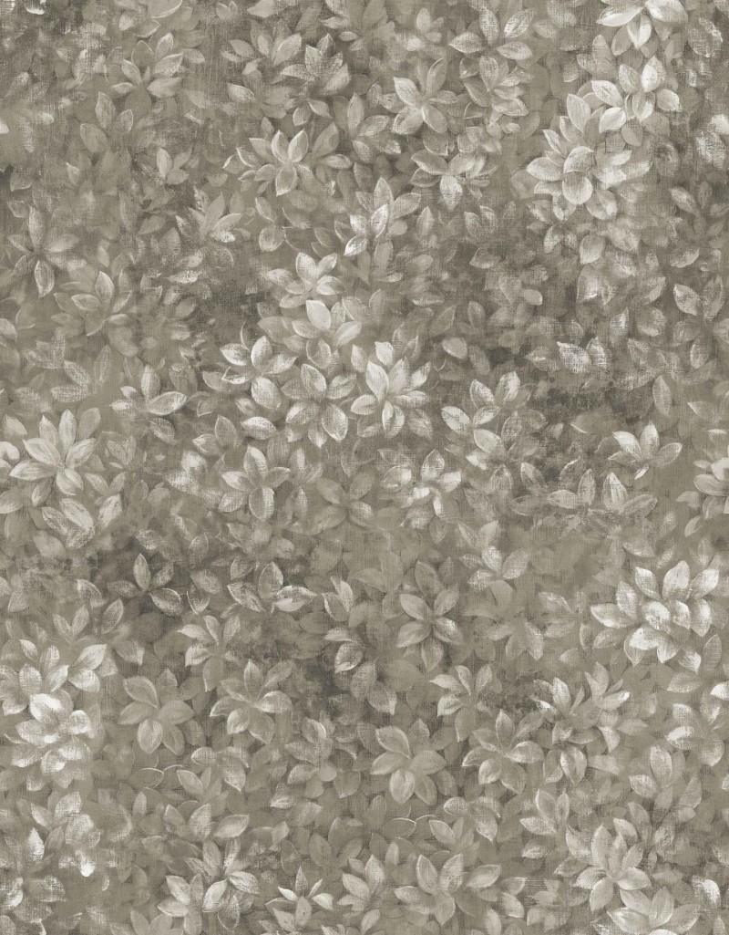 Picture of Marta Cacao - A00216N