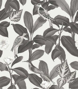 Picture of Rocio Arroz - A00209N