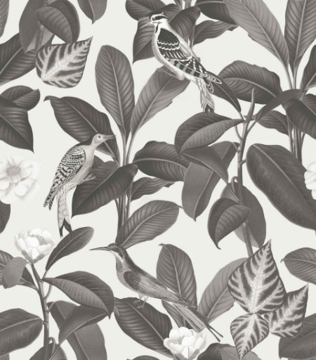 Picture of Rocio Arroz - A00209N