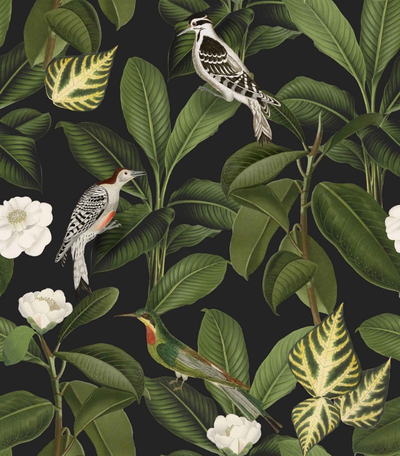 Picture of Rocio Azabache - A00210N