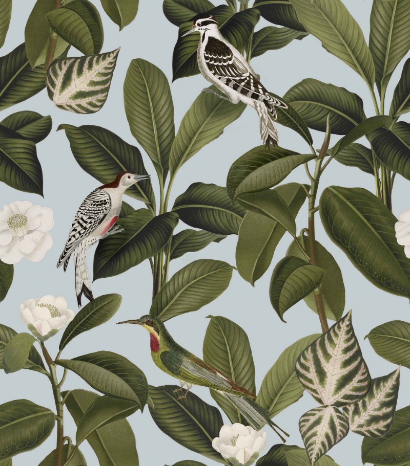 Picture of Rocio Cielo - A00206N