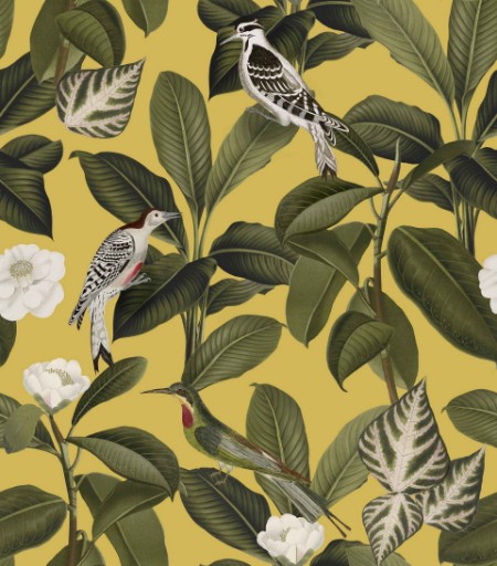 Picture of Rocio Cúrcuma - A00208N