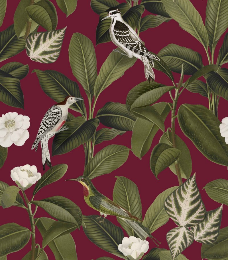 Picture of Rocio Grana - A00211N