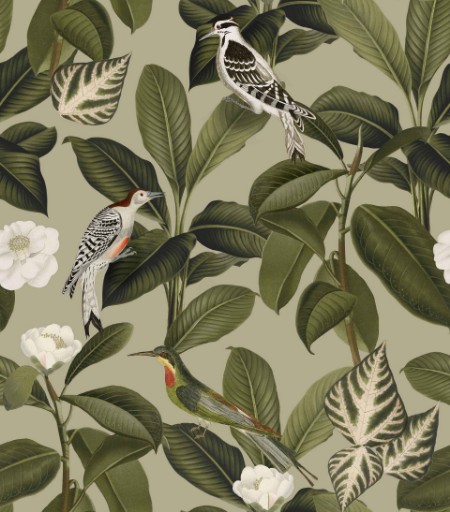 Picture of Rocio Pistacho - A00207N