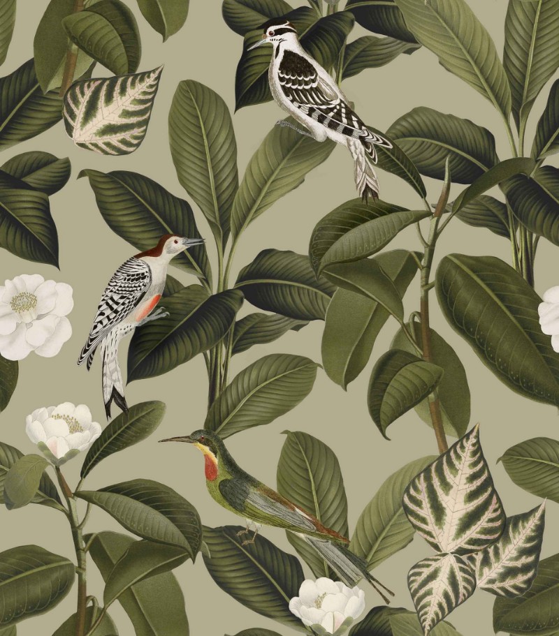 Picture of Rocio Pistacho - A00207N