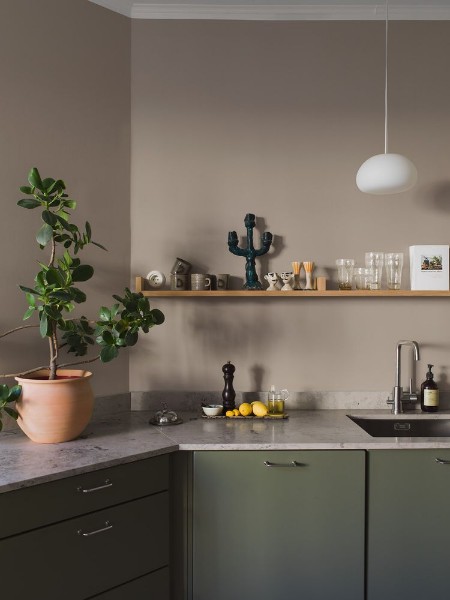 Picture of Almond - 7551