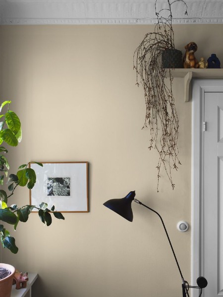 Afbeeldingen van Sorbet Yellow - 7555