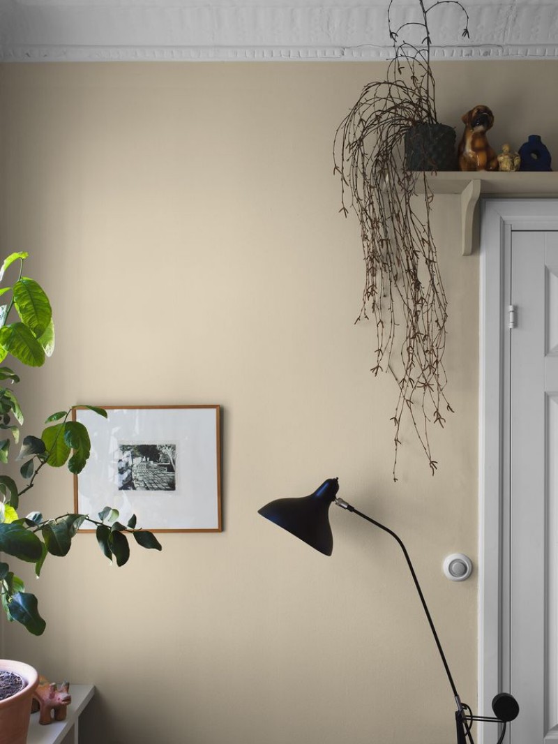 Picture of Sorbet Yellow - 7555